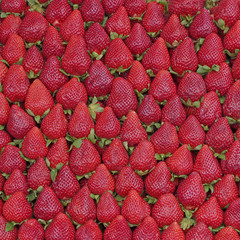 fresh strawberries natural red background
