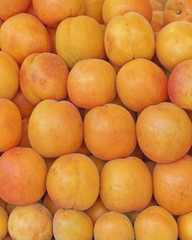 fresh apricots natural background