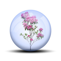 Fleurs rose dans bulle