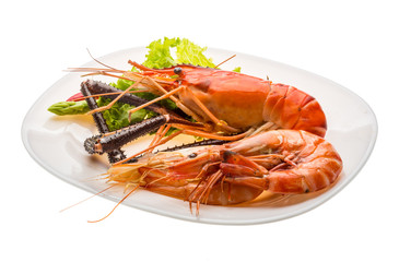Giant Freshwater Prawn and king prawns