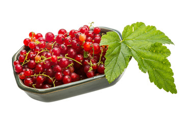 Red currant