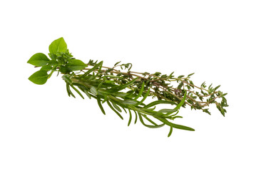 Fresh aroma herbs