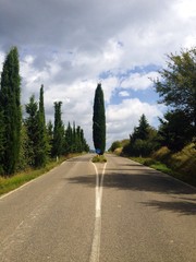 cipresso al bivio