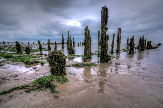 Pilmore Groynes 6