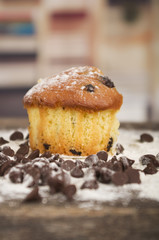 delicious homemade muffin cake dessert cupcake pastry
