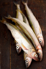 Fresh smelt on  with lemon