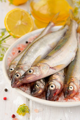 Fresh smelt on  with lemon