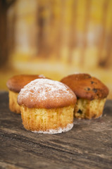 delicious homemade muffin cake dessert cupcake pastry