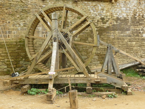 La cage &agrave; &eacute;cureil