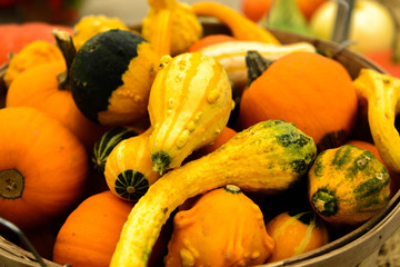 pile of pumpkins