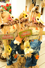 scarecrows with flowers and hay