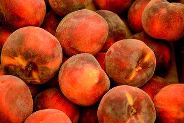 fresh market fruits and vegetables