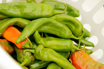 fresh market fruits and vegetables