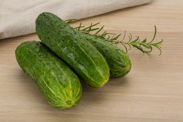 Cucumber
