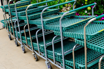 green nursery carts © Casey E Martin