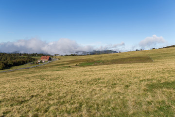 Naklejka premium paysage des Vosges