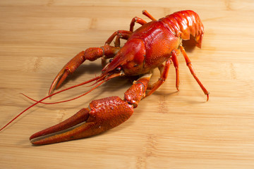 Boiled crayfish