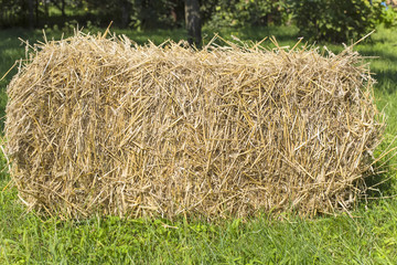 the bale of straw