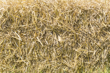 background of straw