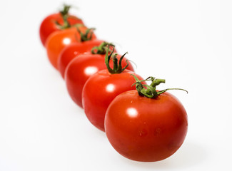 Tomaten 06877