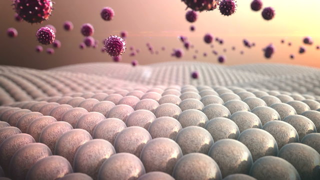 macrophage, virus