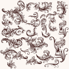 Vector set of floral swirls in vintage style