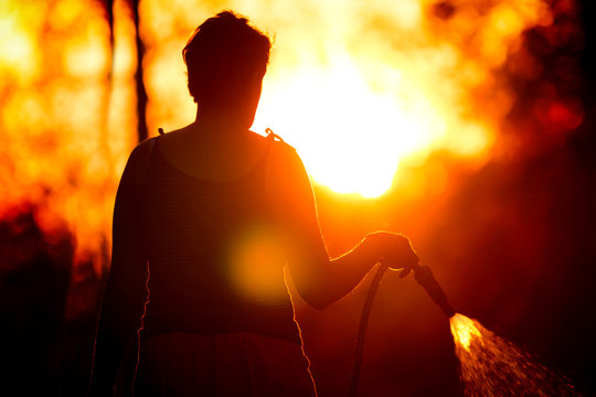 Silhouette Of A Woman Watering Grass At Sunset