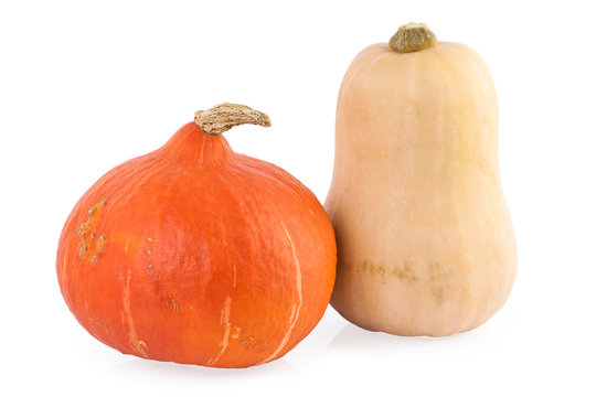 pumpkin hokkaido and butternut