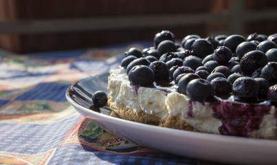 Close-up of a homemade blueberry cheesecake