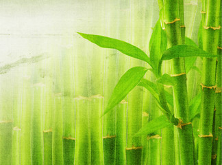 grunge bamboo background