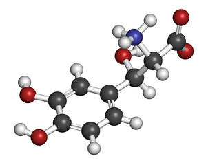 Droxidopa (L-DOPS) hypotension (low blood pressure) drug