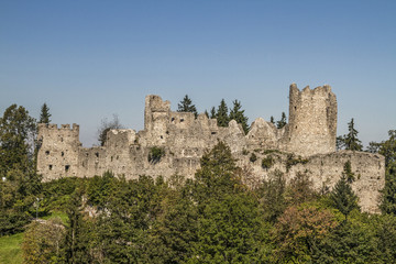 Fototapeta na wymiar Burg Hohenfreyberg