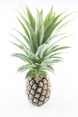 pineapple isolated