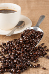 coffee bean