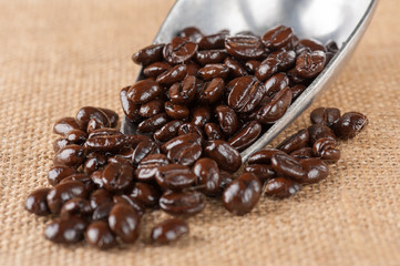 coffee bean