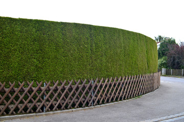 runde Hecke Gartenzaun Symmetrie