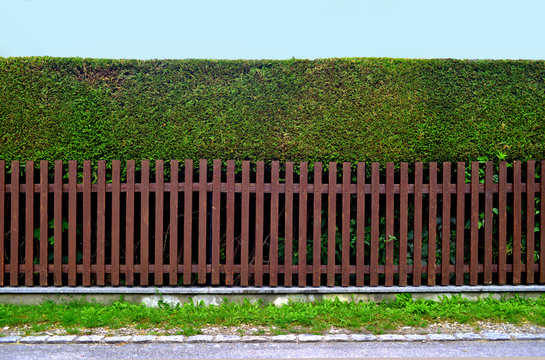 Hecke Symmetrie Gartenbau Zaun