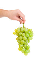 Hand holds white grapes.