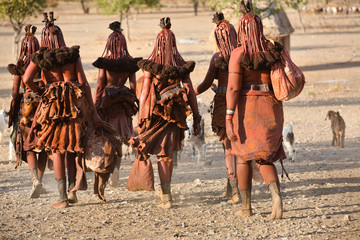Himba women go back to the village near Opuwo town in Namibia