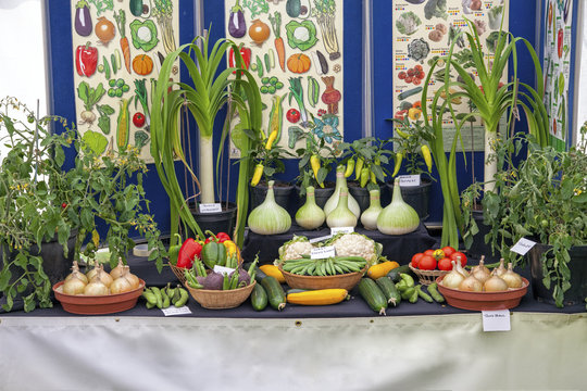 Assortment of vegetables on display at show
