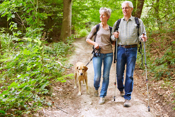 Paar Senioren beim Wandern mit Hund