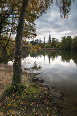 Beautiful vibrant Autumn woodland reflecions in calm lake waters