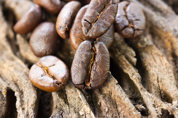 Coffee beans on wood background