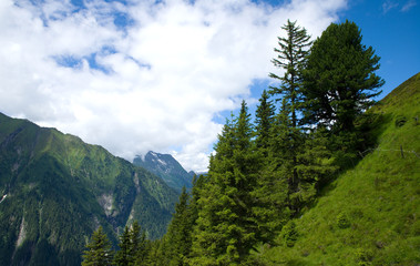 Stilluptal - Zillertal - Alpen