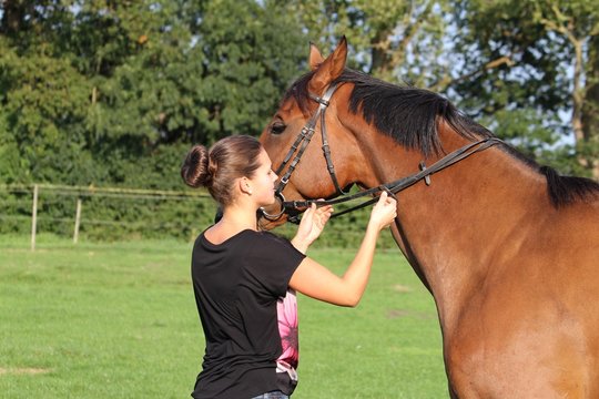 Junge Frau kontrolliert Zügel bei ihrem Pferd