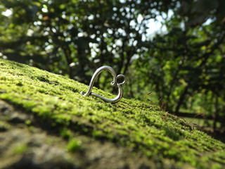 Silver Heart in Green Moss Background for holidays