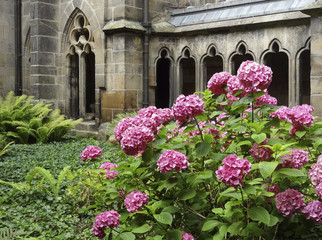Fototapeta na wymiar monastery garden