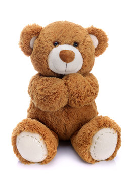 Sweet teddy bear on a white background