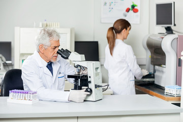 Fototapeta premium Male Scientist Using Microscope In Lab