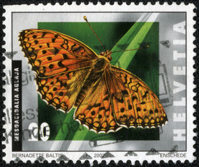 Fototapeta na wymiar stamp printed by Switzerland, shows Insects, butterfly